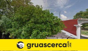 Grúas en Aldama