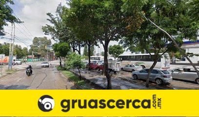 Gruas gruño en León